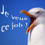 Entretien d'embauche - motivation